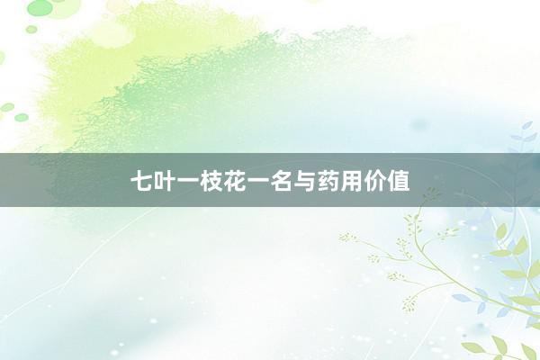 七叶一枝花一名与药用价值