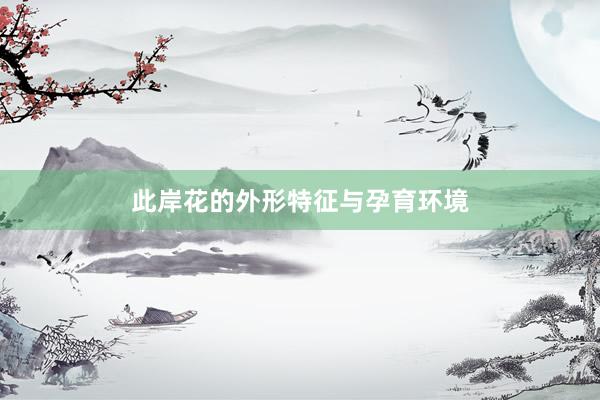 此岸花的外形特征与孕育环境