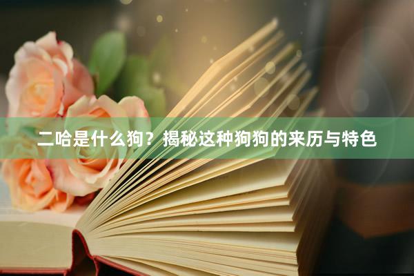 二哈是什么狗？揭秘这种狗狗的来历与特色