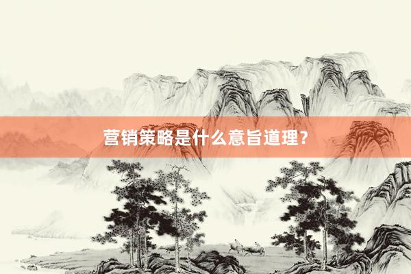 营销策略是什么意旨道理？